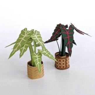 Two papercraft Alocasia plants on white background