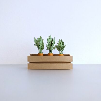 mini carrot garden box