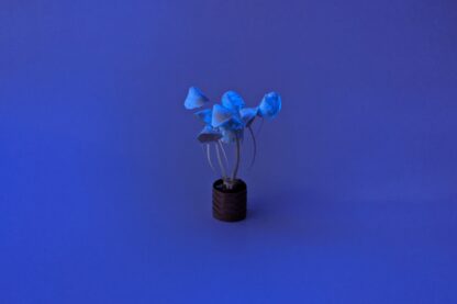 Long Stem Mushroom SVg Template with Glow in the Dark Paint